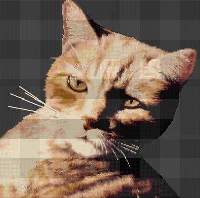 (image for) Slightly Irritated